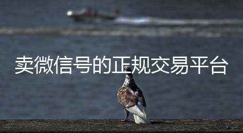 卖微信号的正规交易平收微信号台（卖微信号的正规交易平台是真的吗）