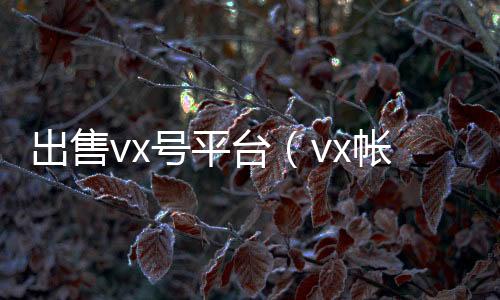 出售vx号24小时在线微信号收购平台（vx帐号出售）