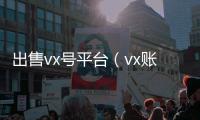  出售vx号平台（vx账号出售平台）