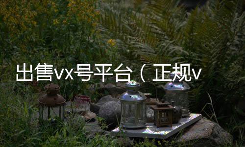 出售vx号平回收微信的可靠平台台（正规vx号出售网站）