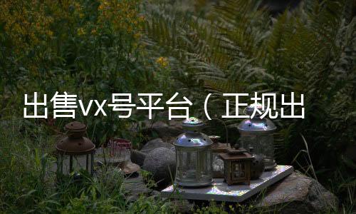 出售vx号平台收购微信号（正规出售微信账号交易平台）
