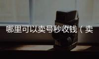  哪里可以卖号秒收钱（卖号最快收到钱的软件）