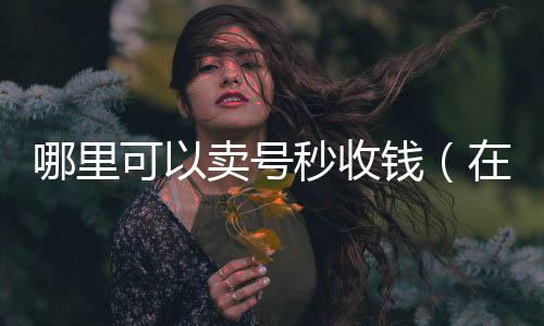 哪里可以卖号秒在线收微信收钱（在哪里可以秒卖号）