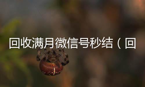 回收满月微信号高价回收vx秒结平台秒结（回收3月以上微信号）