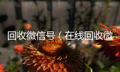 回收微信号高于市场价的微信账号回收价格表（在线回收微信号）