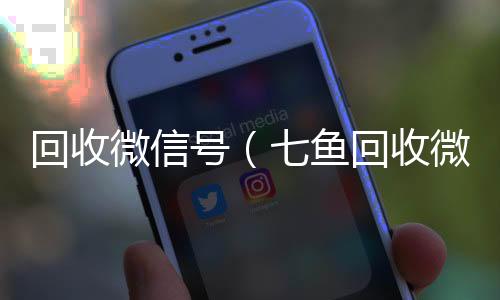 回收微信号正规vx号回收网站（七鱼回收微信号）