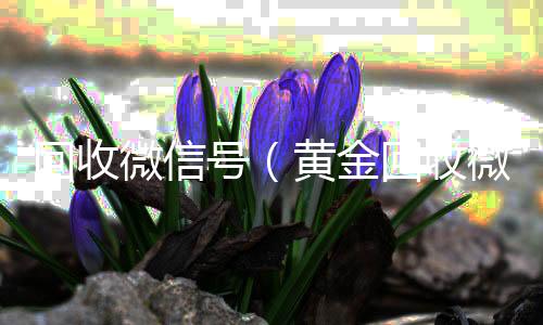 回收微信号800收一年以上微信号（黄金回收微信号）