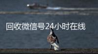  回收微信号24小时在线秒结（高价回收微信号24小时回收）