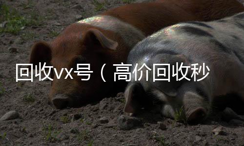 回收vx号（24小时全天回收vx高价回收秒打款微信号）
