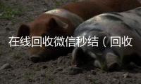  在线回收微信秒结（回收微信秒结账）