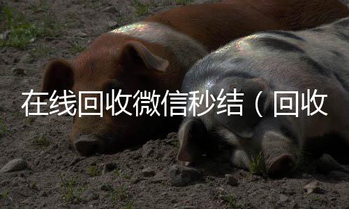 在线回收微信秒24小时回收vx秒结平台结（回收vx秒结联系方式）