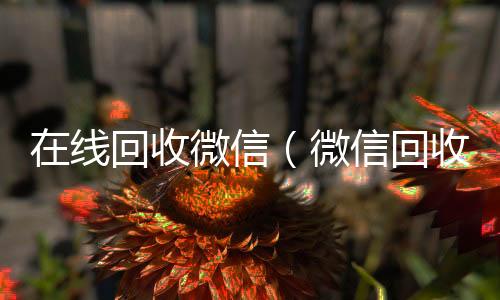 在线回收微回收vx号秒结信（微信回收网）