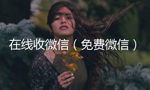 在线收微高价回收vx秒结平台信（免费微信）