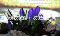  在线收微信（收微信的网站）