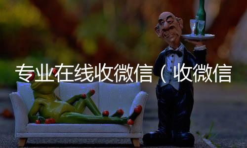 专业在线收24小时在线出售微信微信（收微信的网站）