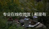  专业在线收微信（那里有收微信的）