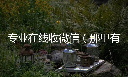 专业在线收微微信回收平台联系方式信（那里有收微信的）
