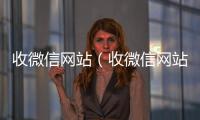  收微信网站（收微信网站平台）