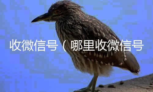 收微信号回收微信号平台高价（哪里收微信号）