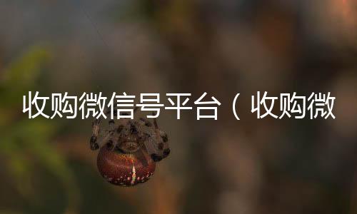 收购微信号平台（回收微信号收购微信号平台 价格高 结账快）