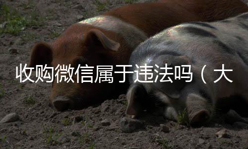 收购微信属于24小时收微信靠谱回收违法吗（大量收购微信）