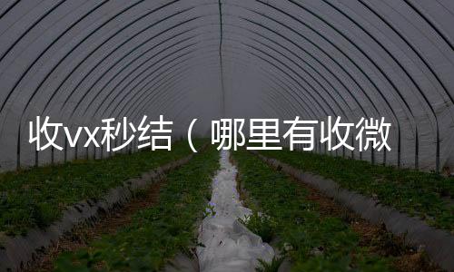 收vx秒结（回收微信联系方式哪里有收微信号的秒结）