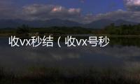  收vx秒结（收vx号秒结账）