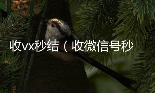 收vx秒结收微信号高价回收vx秒结（收微信号秒结钱的）