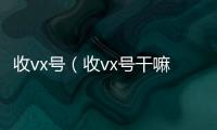  收vx号（收vx号干嘛的）