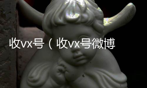 收vx号vx秒结（收vx号微博）