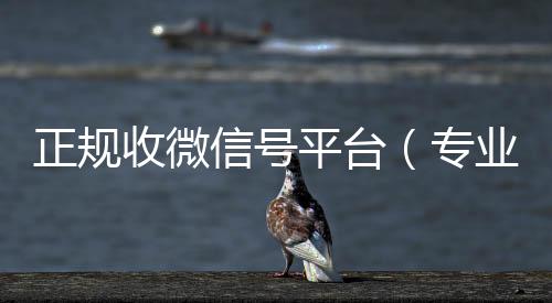 正规收微信号高价回收微信300元秒结平台（专业收微信号）