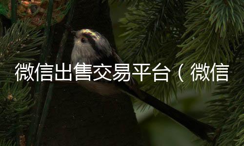微信出售交易平出售微信24小时在线回收台（微信出售交易平台是哪个）