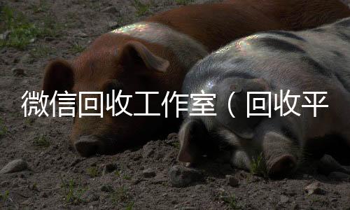 微信回收工回收vx秒结联系方式作室（回收平台）