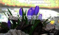  微信回收（微信回收站在哪里找）