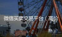  微信买卖交易平台（高价回收vx300元秒结）