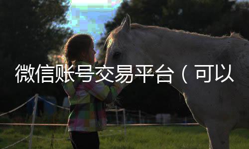 微信账号交易平台全网独家有信誉收微信号的公司（可以用微信付款的账号交易平台）