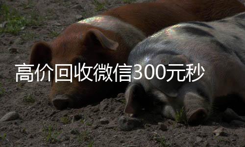 高价回收微信324小时vx回收平台00元秒结（回收微信价格）