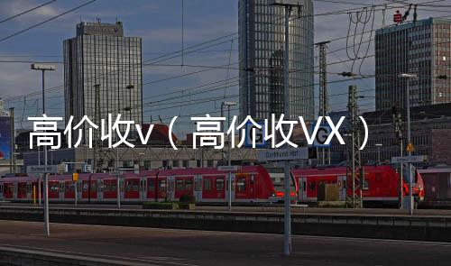 高价收v24小时收vx秒结（高价收VX）