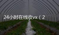  24小时在线收vx（24在线收vx号平台）