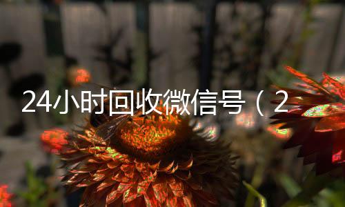 24小时回收微信全天24小时高价回收微信号秒结平台号（24小时回收微信号平台）