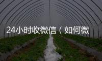  24小时收微信（如何微信24小时收钱）