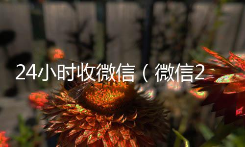 24小时收微信（回收vx号秒结微信24小时收款的能追回款吗）