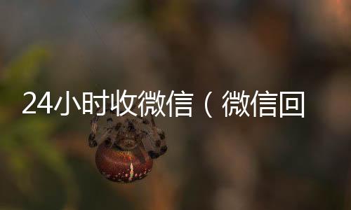 24小时收微正规微信号购买网信（微信回收联系方式）