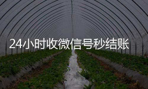 24小时收微信号微信回收平台秒结账（24小时收微信号的平台）