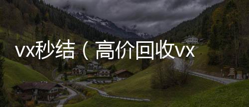 vx秒结（24小时在线回收vx高价回收vx秒结）