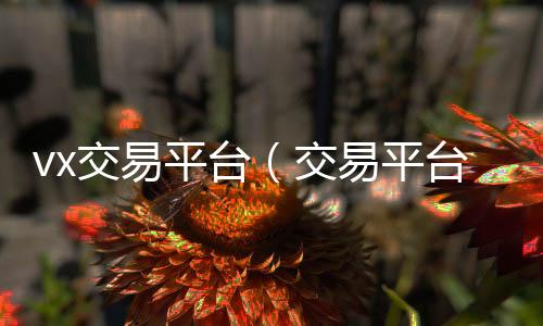 vx交易平诚信收微信秒结台（交易平台微信）