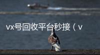  vx号回收平台秒接（vx号回收网站）