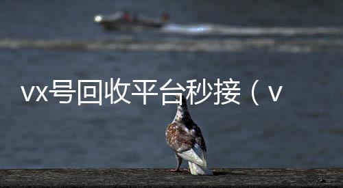 vx号回收平高价回收vx平台台秒接（vx号回收网站）