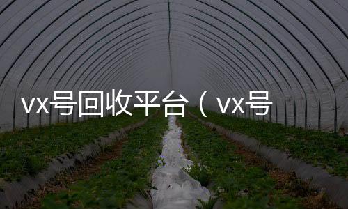 vx号回收平长期高价回收微信号台（vx号回收平台网）