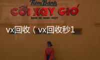  vx回收（vx回收秒1000）